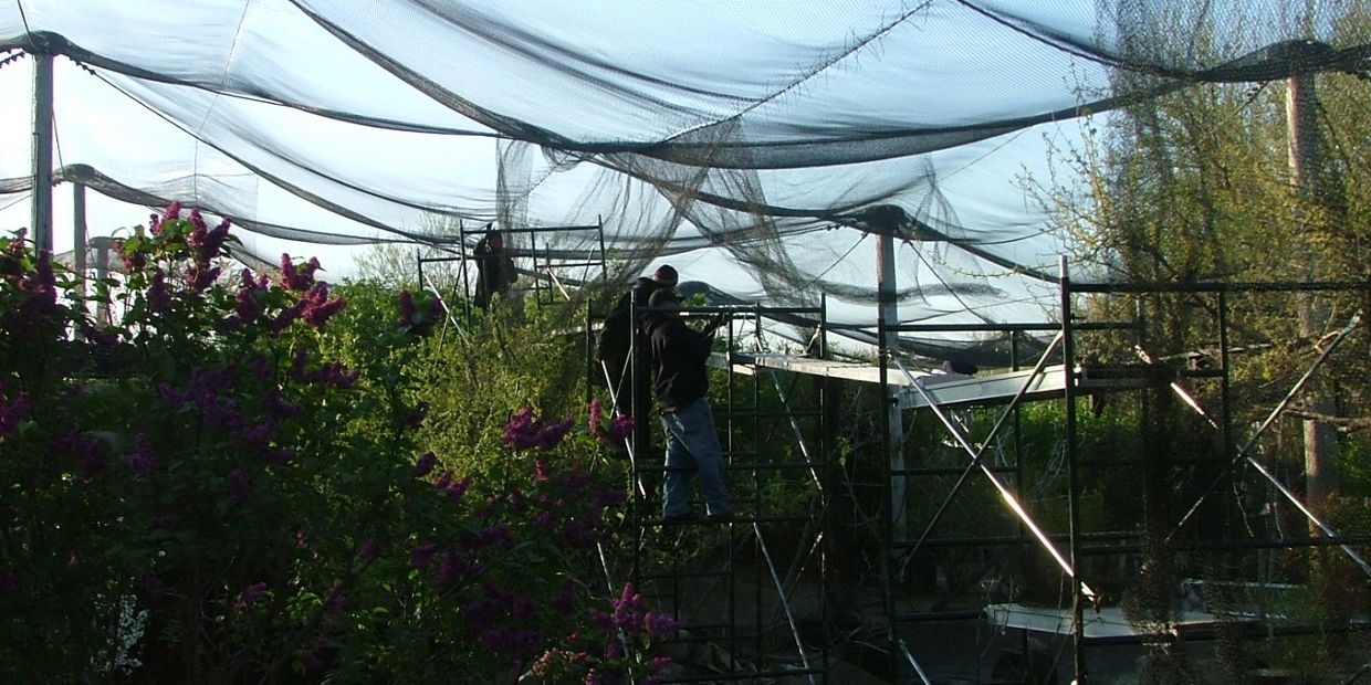 Nets Unlimited 2 Nets Unlimited, Inc.